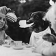 A celebrity dog named Bob holds up his cup for a refill at a children’s tea party in London. England, 1937.